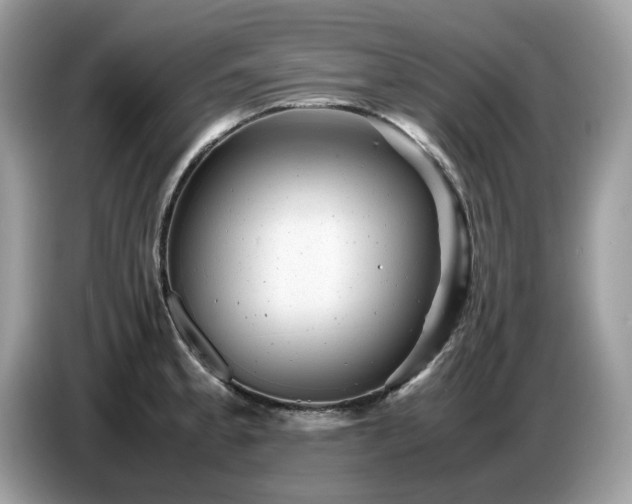 X0000087621189200704271353