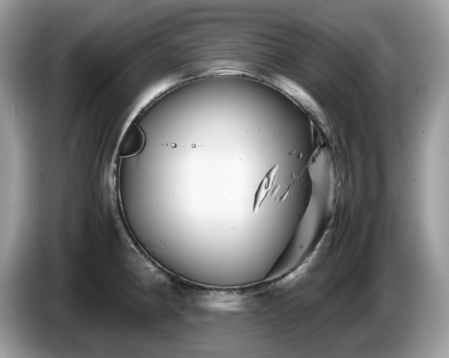 X0000087621190200704271353