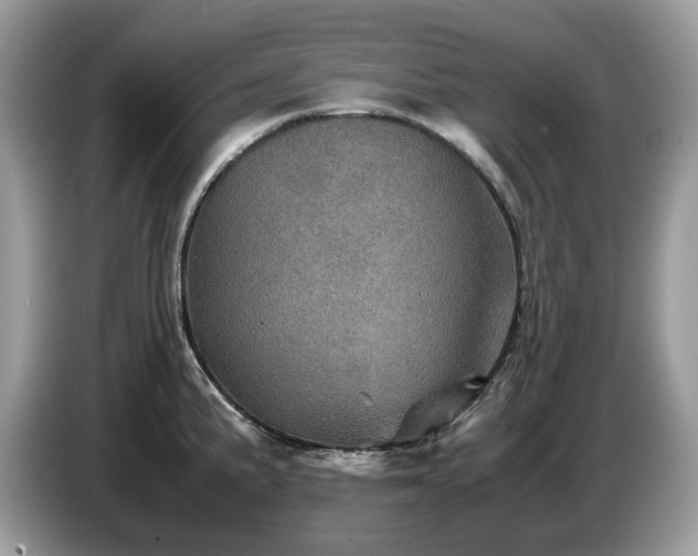 X0000087621191200704271353