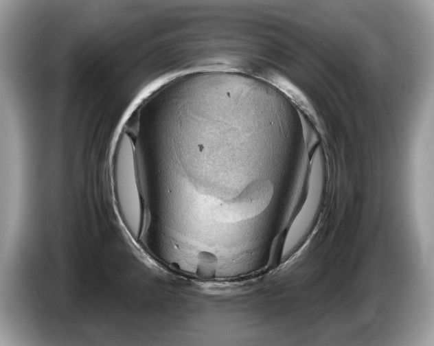 X0000087621192200704271353