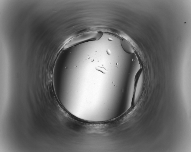 X0000087621193200704271353