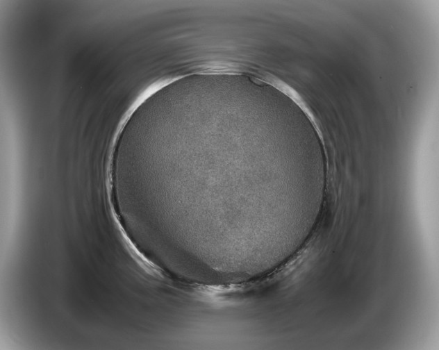 X0000087621195200704271353