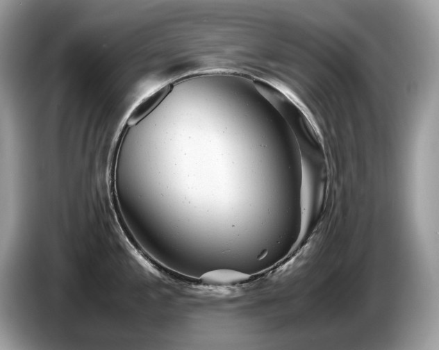 X0000087621197200704271353