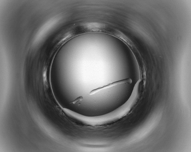 X0000087621198200704271353