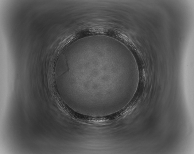 X0000087621201200704271352
