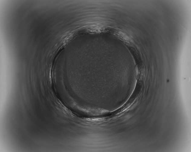 X0000087621202200704271352