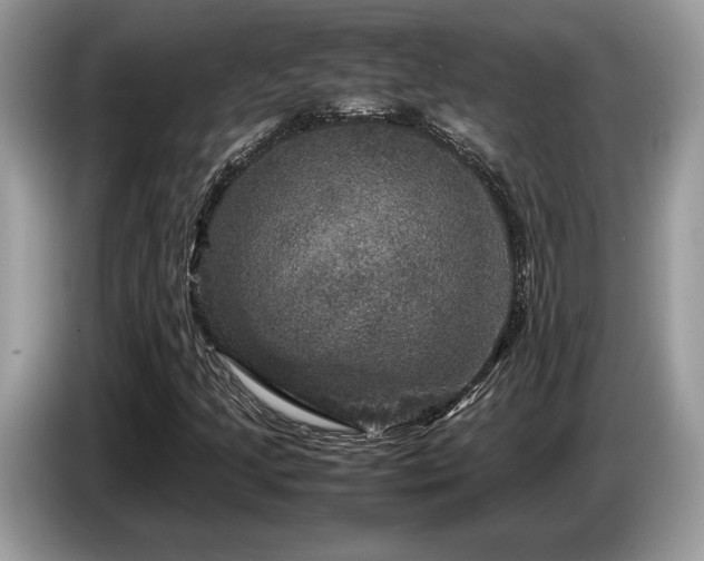 X0000087621205200704271352