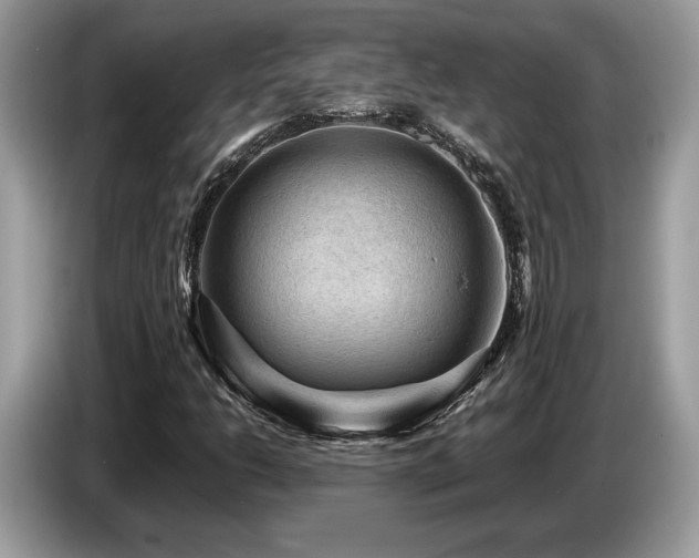 X0000087621206200704271352