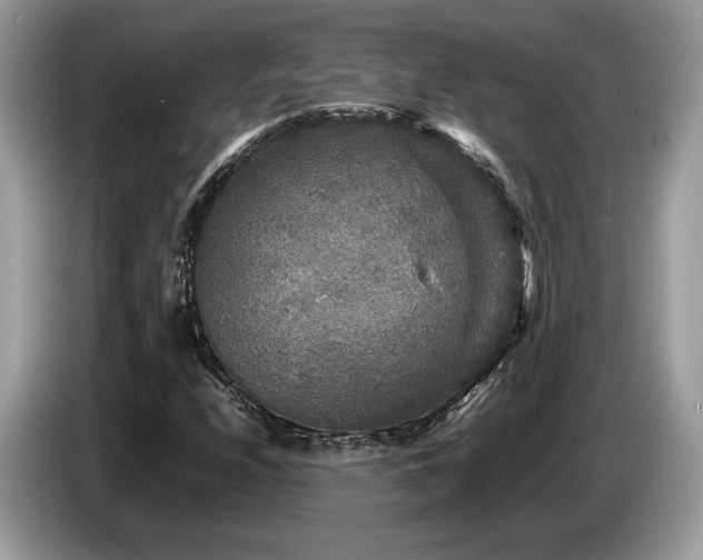 X0000087621208200704271352