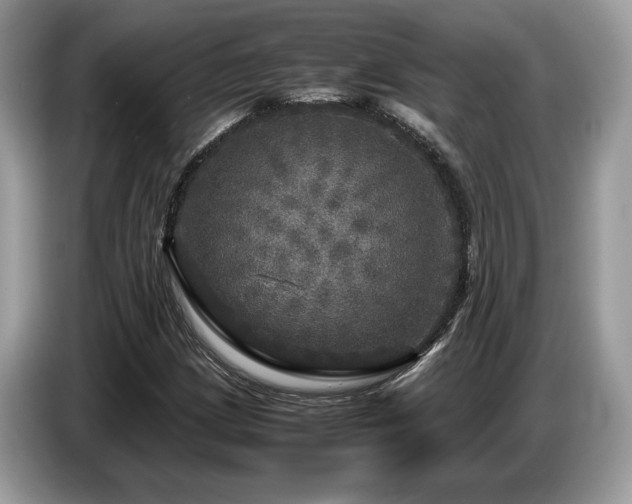 X0000087621209200704271352