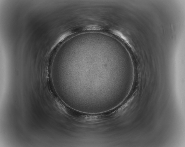 X0000087621211200704271352
