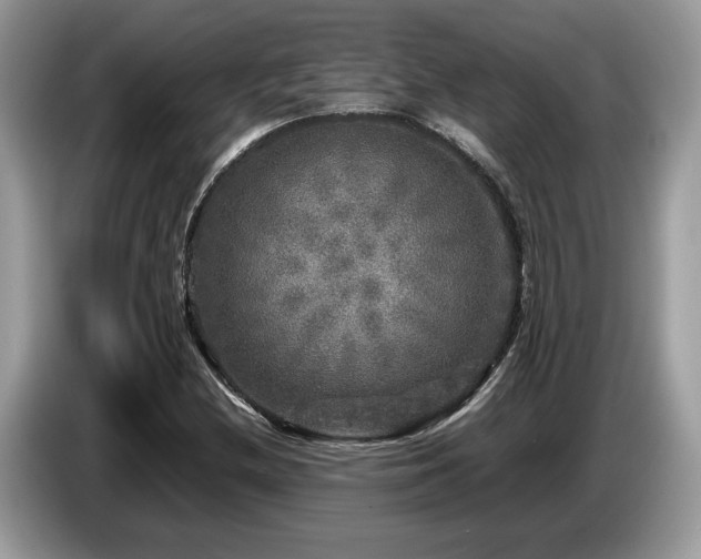 X0000087621212200704271352