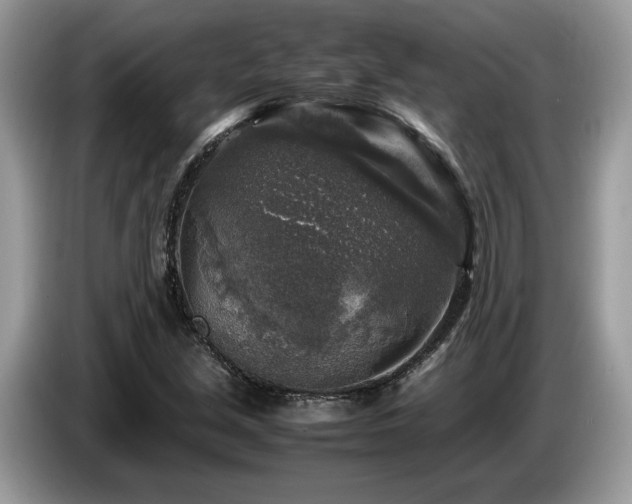 X0000087621213200704271352