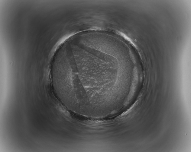 X0000087621215200704271352