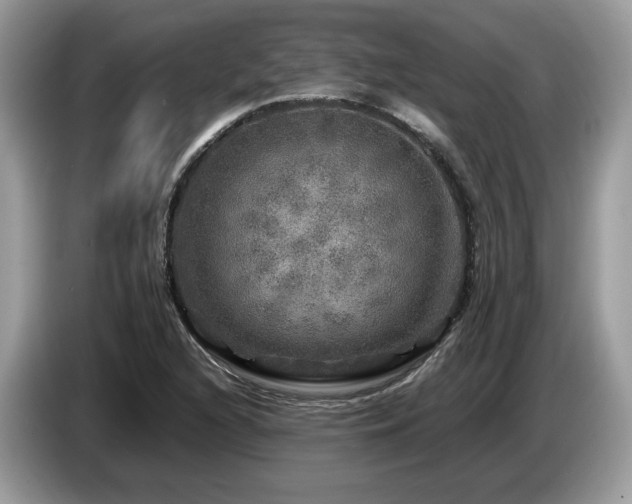 X0000087621216200704271352