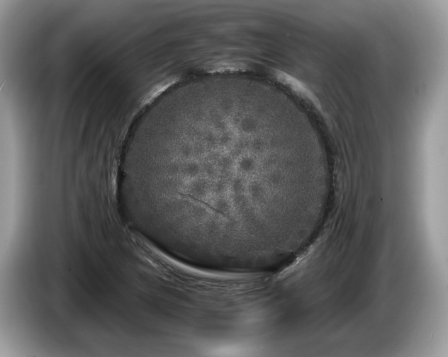 X0000087621217200704271352