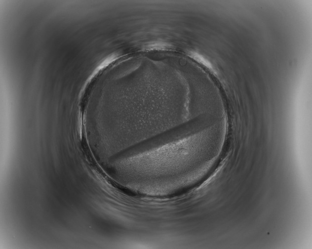 X0000087621219200704271352