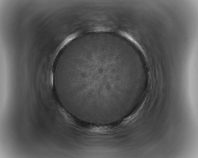 X0000087621221200704271352