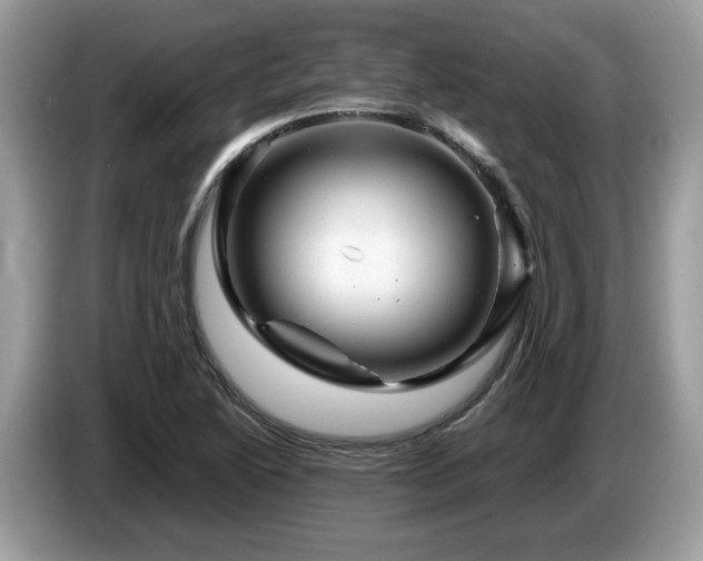 X0000087621222200704271352