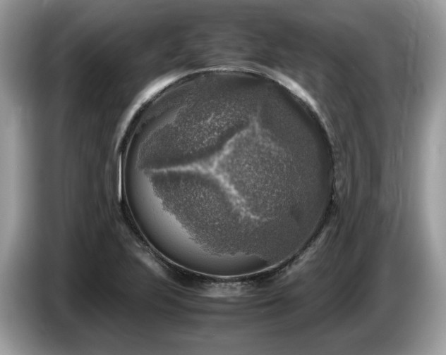 X0000087621223200704271352