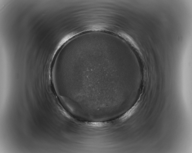 X0000087621226200704271352