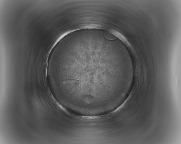 X0000087621228200704271352