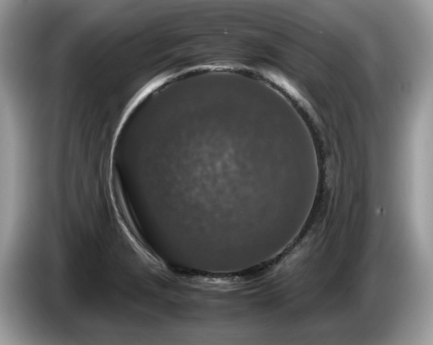 X0000087621229200704271352