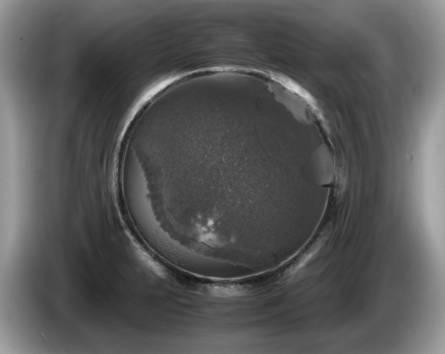 X0000087621231200704271352