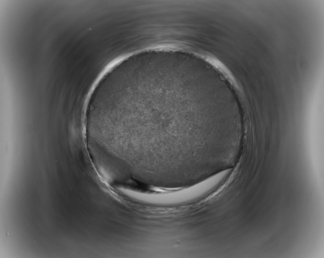 X0000087621232200704271352
