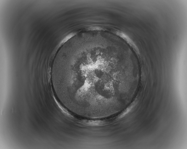 X0000087621233200704271353