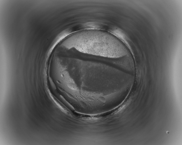 X0000087621235200704271353