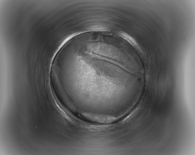 X0000087621236200704271353
