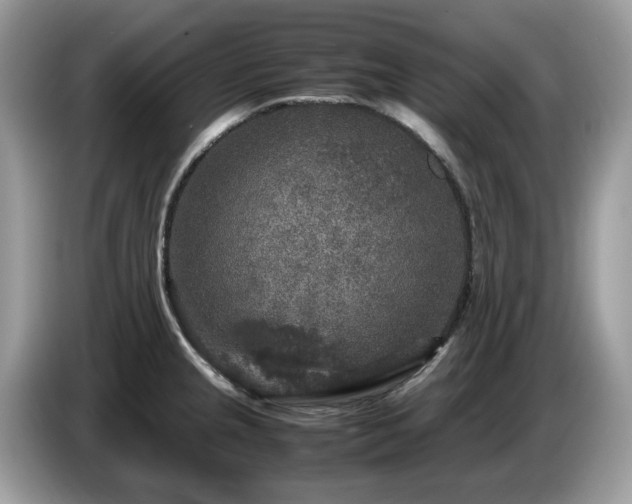 X0000087621237200704271353