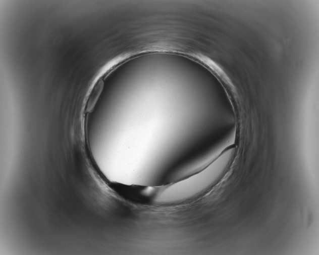 X0000087621238200704271353