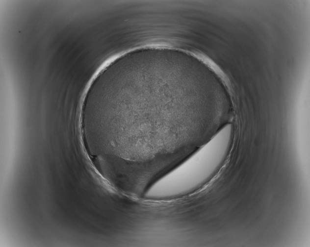 X0000087621240200704271353