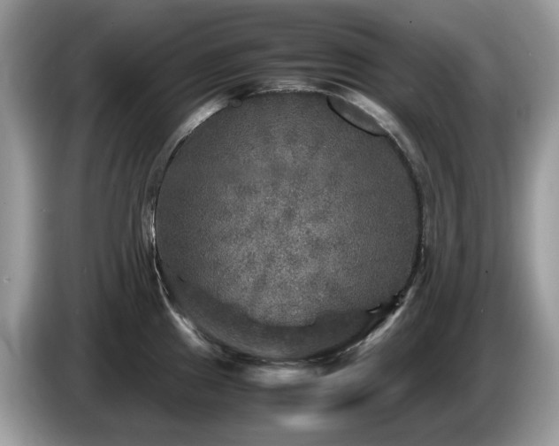 X0000087621241200704271353