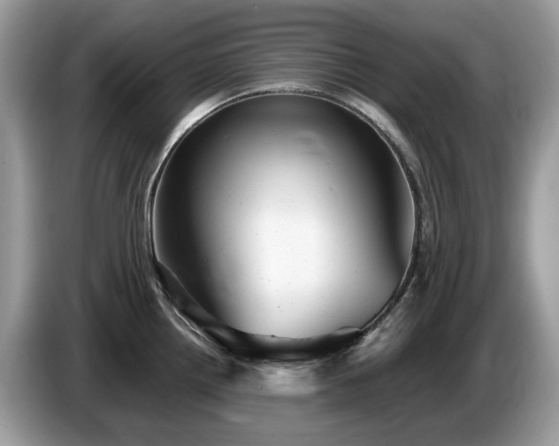 X0000087621242200704271353