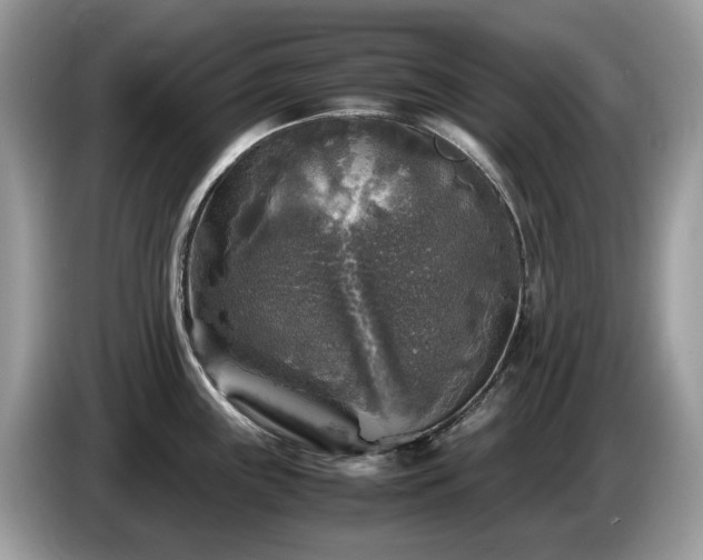 X0000087621243200704271353