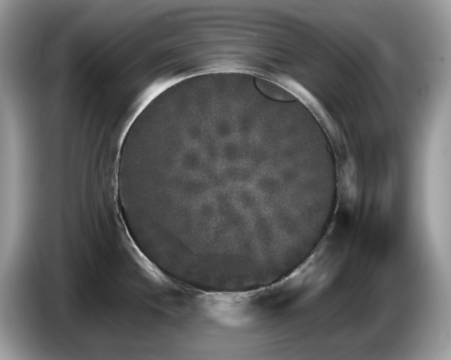 X0000087621244200704271353