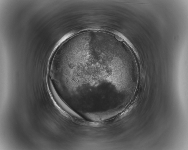 X0000087621245200704271353