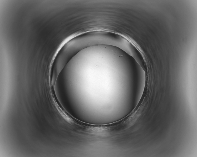 X0000087621246200704271353