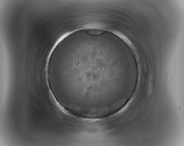 X0000087621248200704271353
