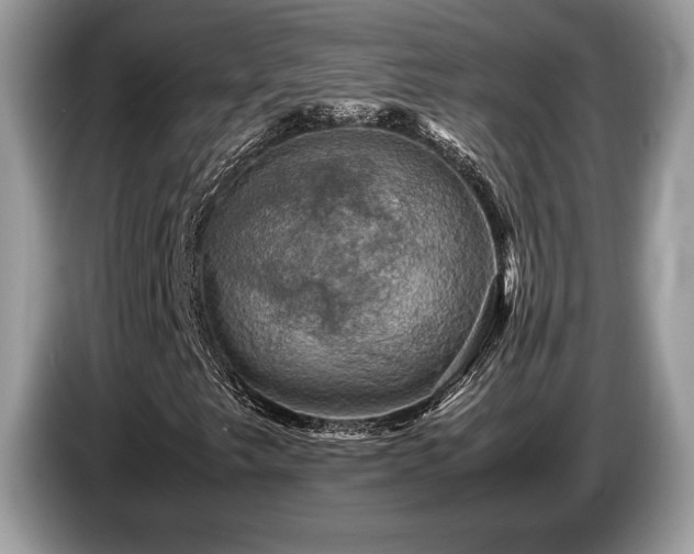 X0000087621249200704271352