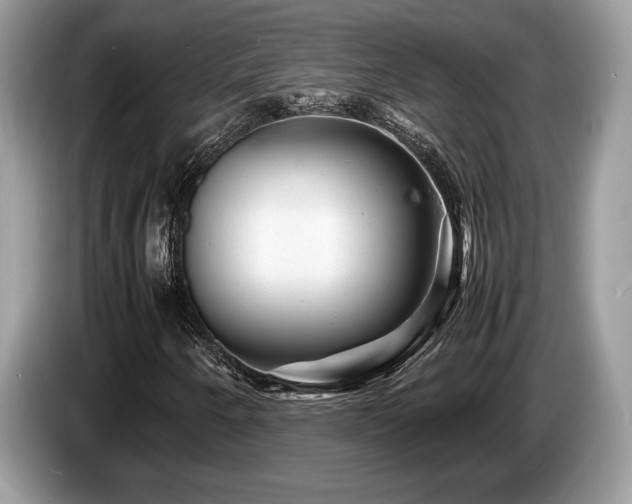 X0000087621250200704271352