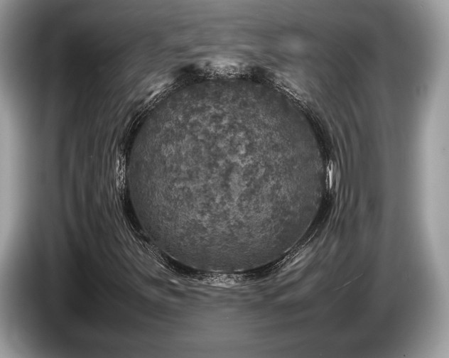 X0000087621251200704271352