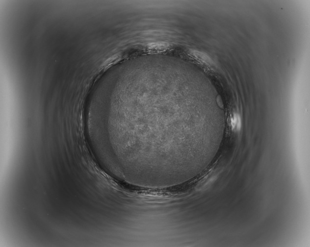 X0000087621252200704271352