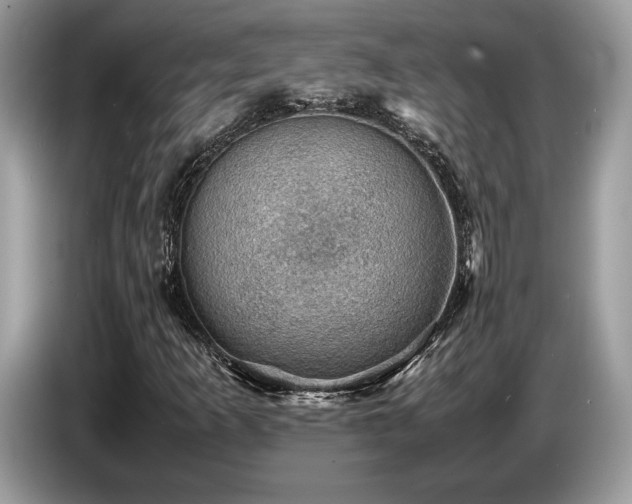 X0000087621253200704271352