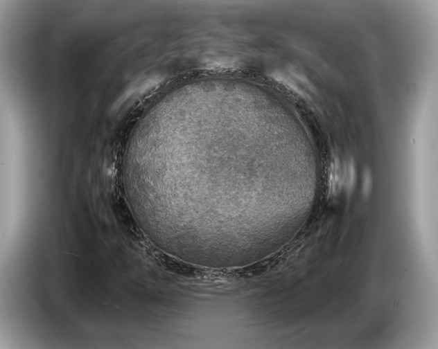 X0000087621254200704271352