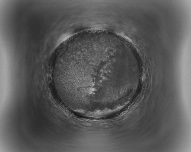 X0000087621255200704271352