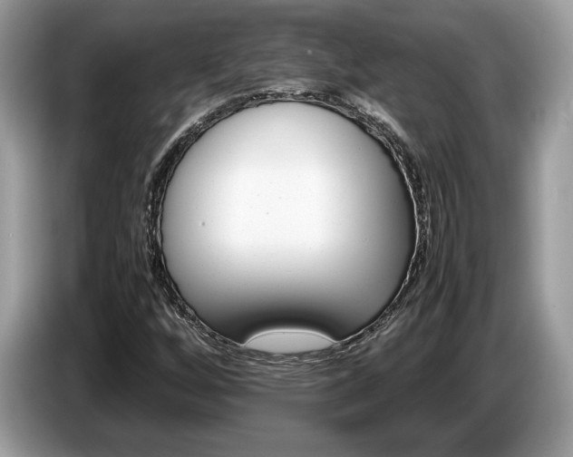 X0000087621256200704271352